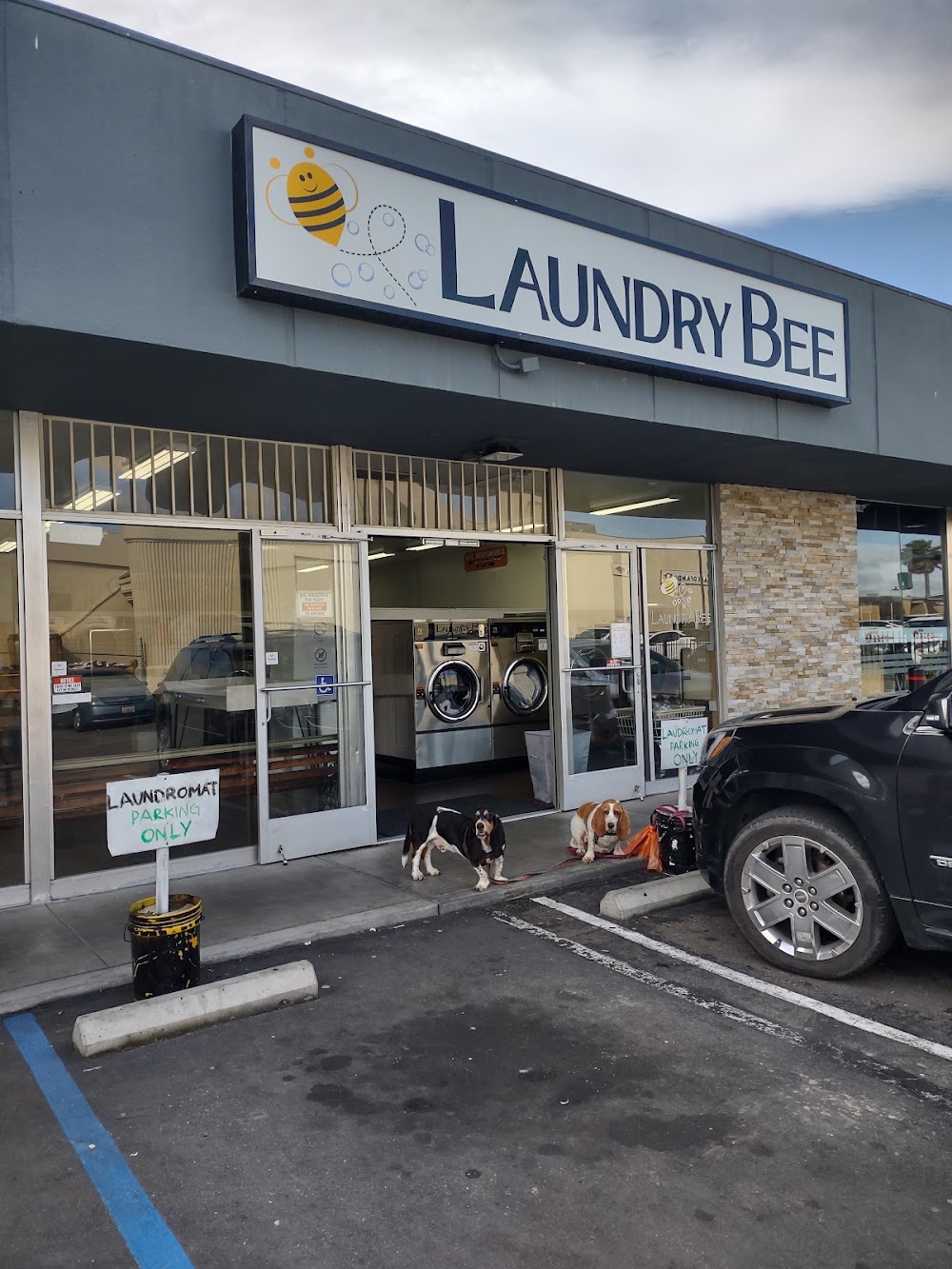 Laundry Bee Vending Machine Location