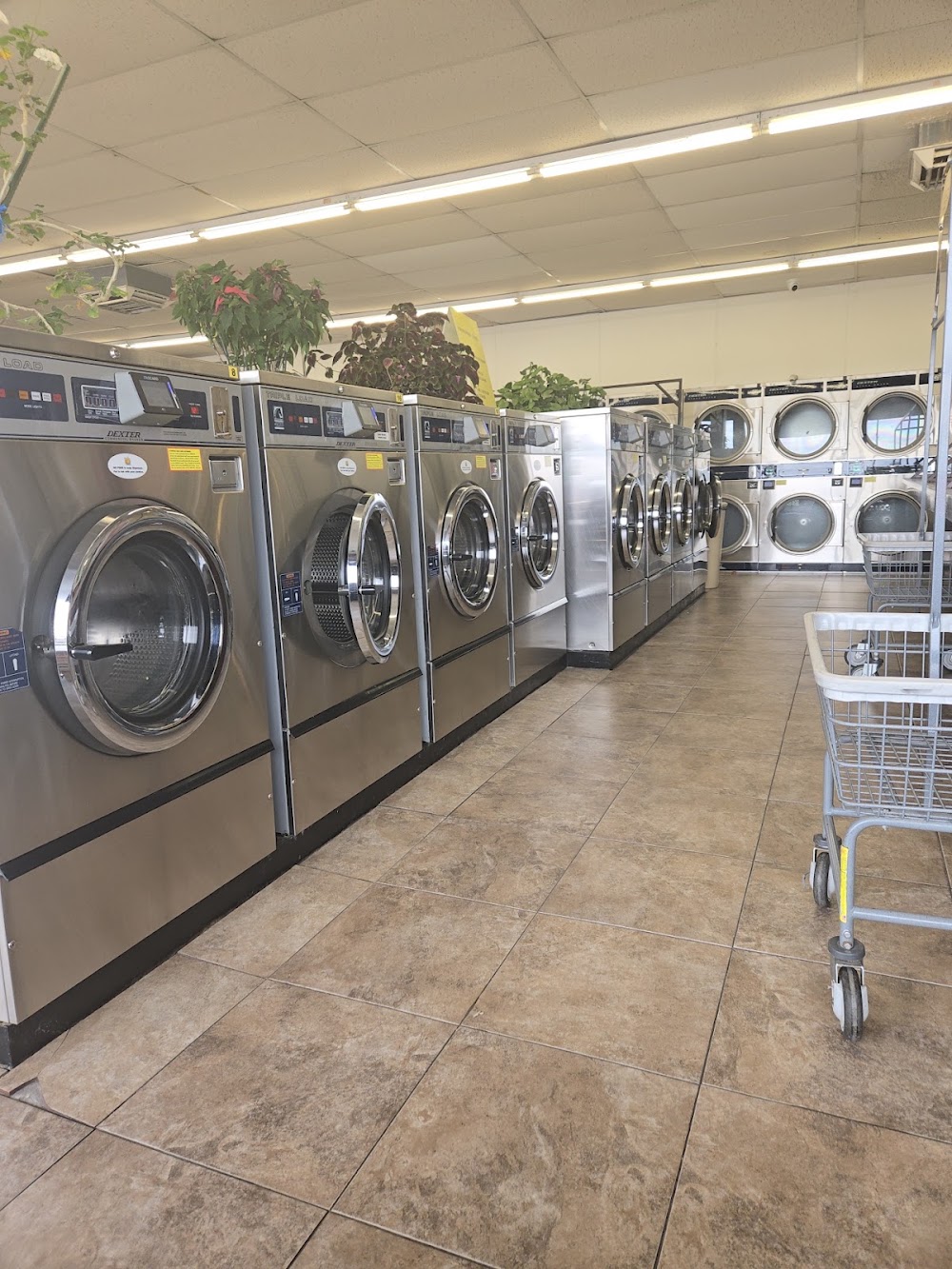 Lady Fair Laundry Vending Machine Location