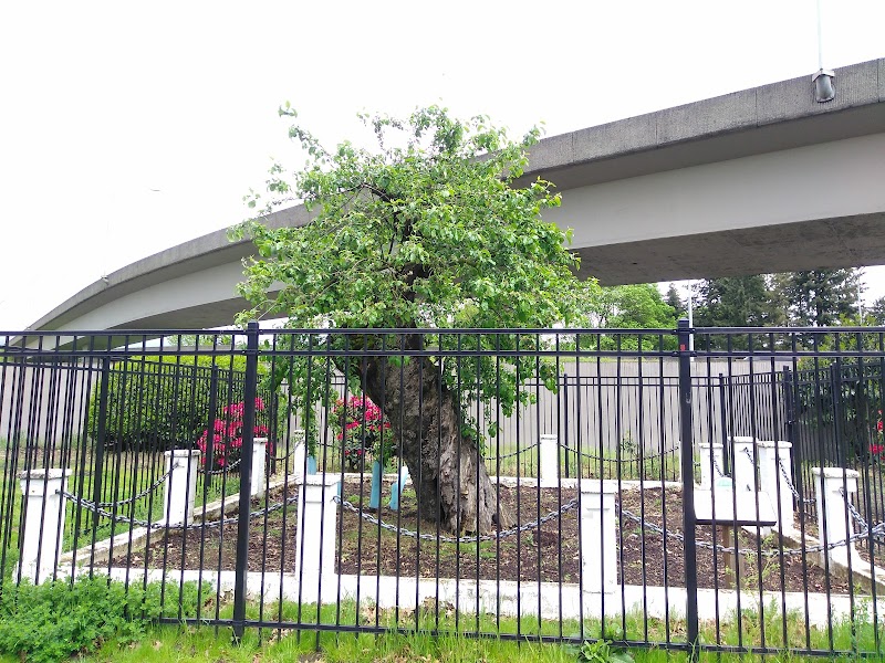 Old Apple Tree Park Vending Machine Location