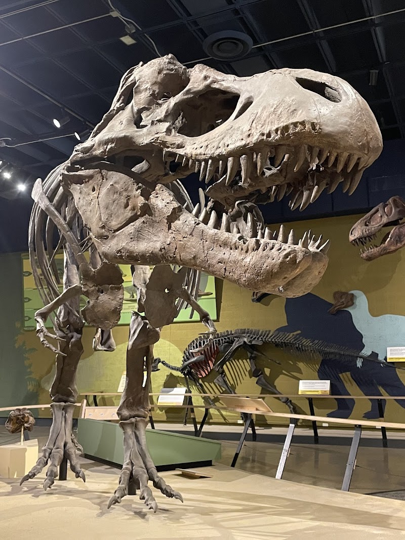 Cleveland Museum of Natural History Vending Machine Location