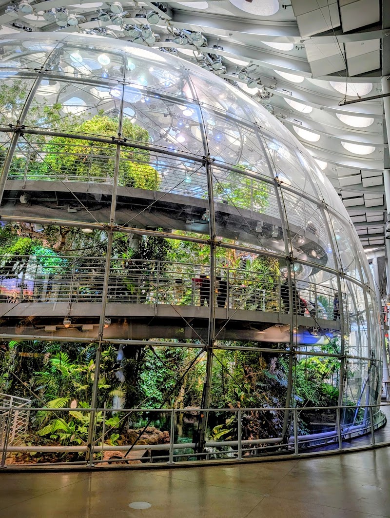 California Academy of Sciences Vending Machine Location