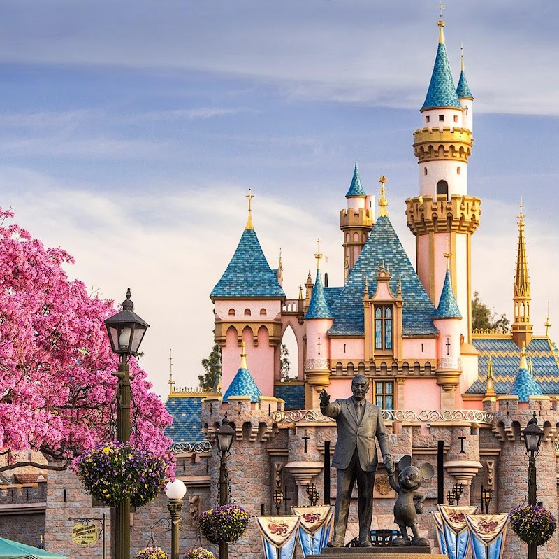 Disneyland Park Vending Machine Location