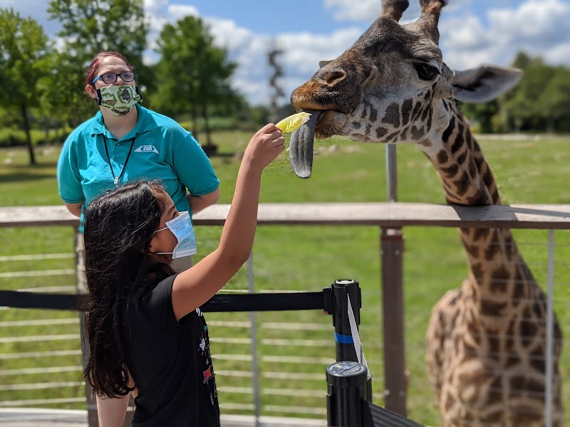Toledo Zoo Vending Machine Location