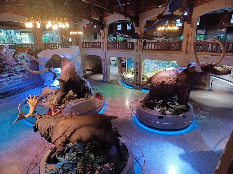 Toledo Zoo Aquarium Vending Machine Location