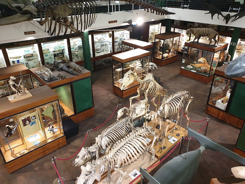 University of Aberdeen Zoology Museum Vending Machine Location