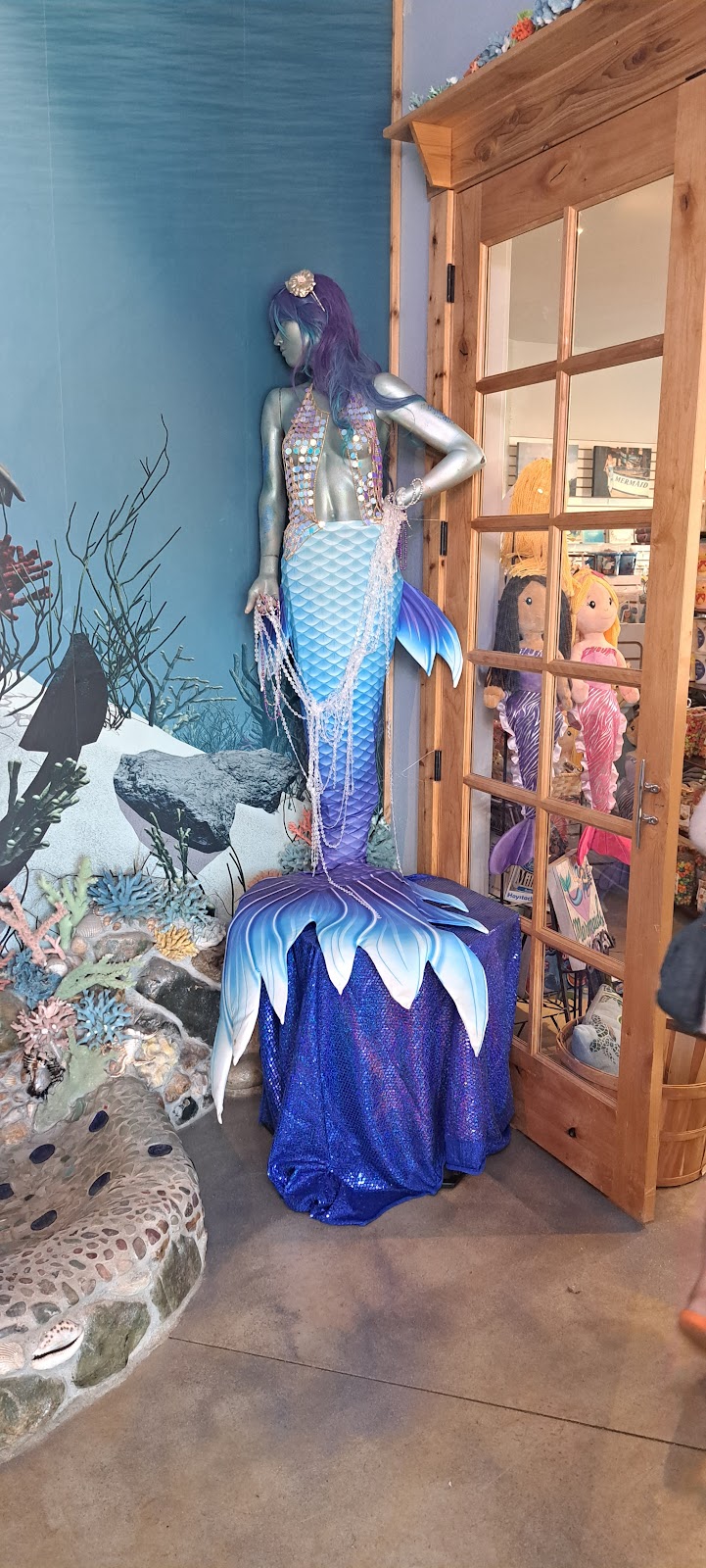 International Mermaid Museum Vending Machine Location