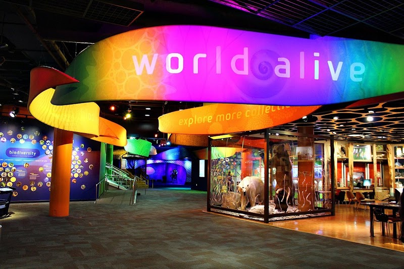 Discovery Place Science Vending Machine Location