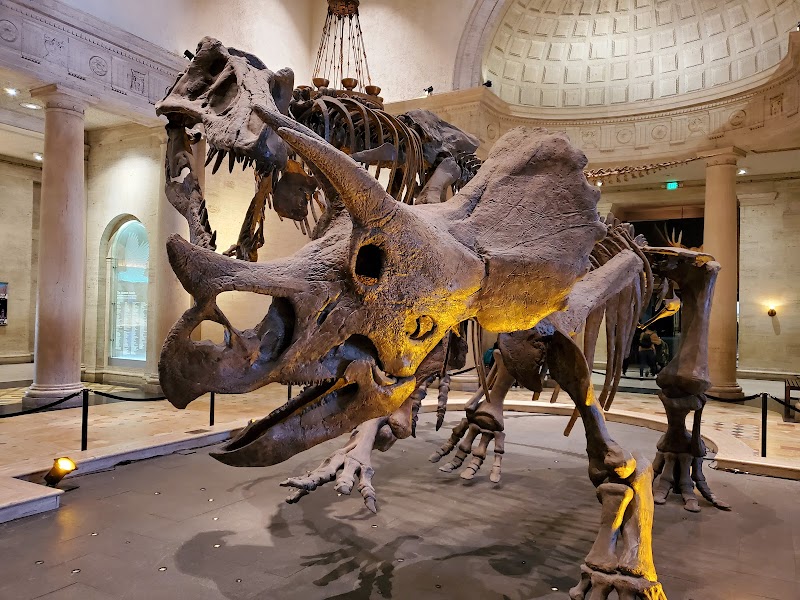 Natural History Museum of Los Angeles County Vending Machine Location