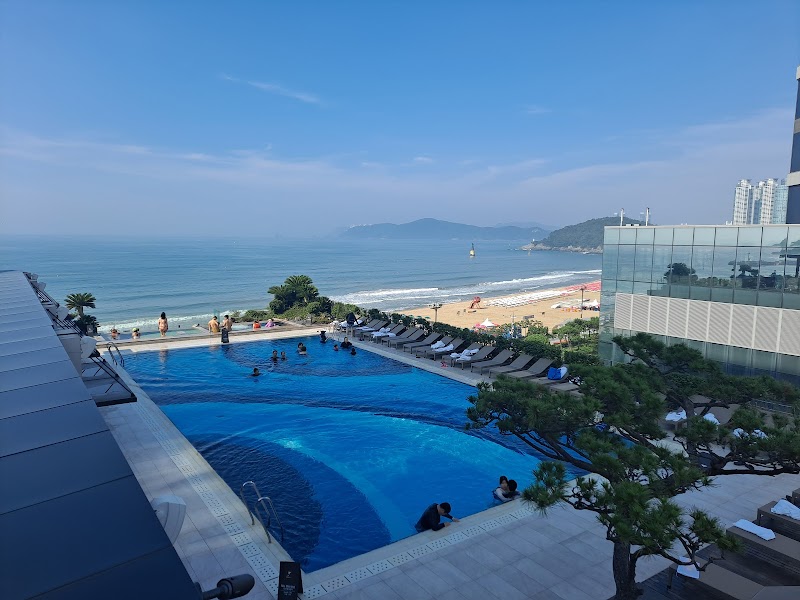 Casino Paradise Busan Vending Machine Location