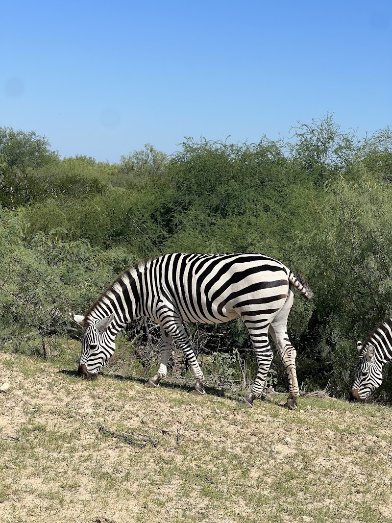 Laredo Safari and Adventure Park Vending Machine Location